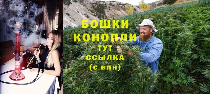 купить  сайты  Арсеньев  Бошки марихуана SATIVA & INDICA 